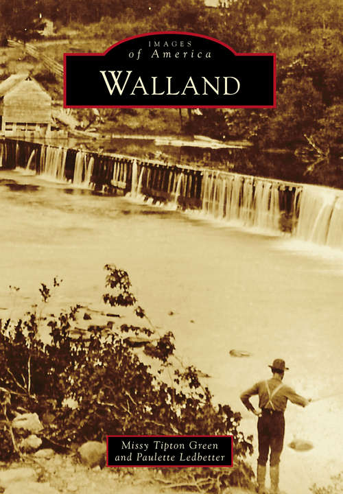 Book cover of Walland