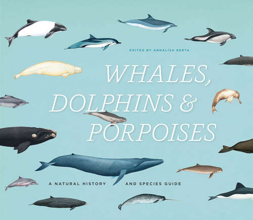 Book cover of Whales, Dolphins and Porpoises: A Natural History and Species Guide