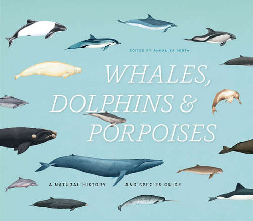 Book cover of Whales, Dolphins & Porpoises: A Natural History and Species Guide