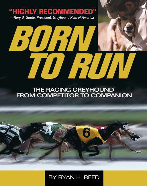 Book cover of The Born to Run
