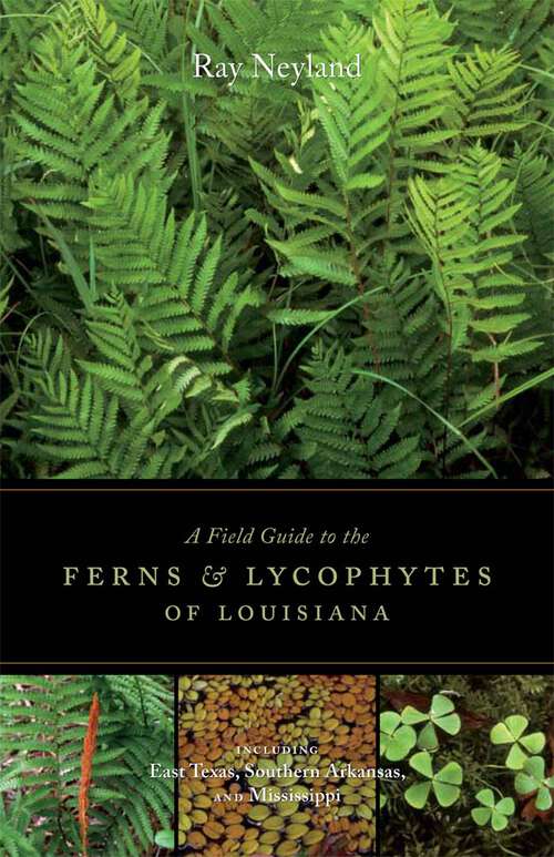 Book cover of A Field Guide to the Ferns and Lycophytes of Louisiana: An American Soldier in Occupied Germany, 1945--1946