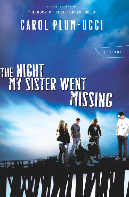 Book cover of The Night My Sister Went Missing