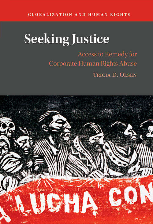 Book cover of Seeking Justice: Access to Remedy for Corporate Human Rights Abuse (Globalization and Human Rights)