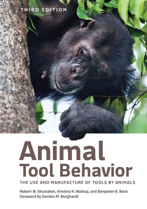 Book cover of Animal Tool Behavior: The Use and Manufacture of Tools by Animals
