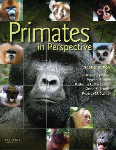 Primates in Perspective (2nd Edition)