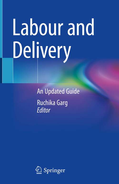 Book cover of Labour and Delivery: An Updated Guide (1st ed. 2023)