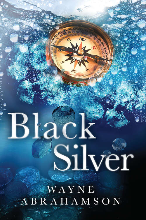 Book cover of Black Silver