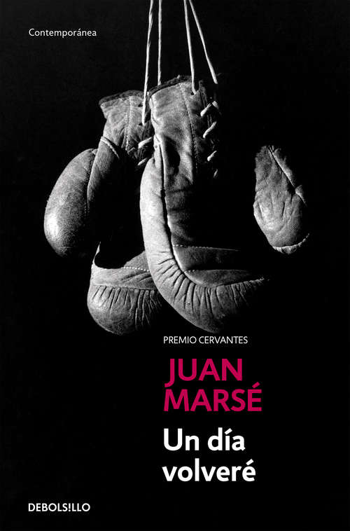 Book cover of Un día volveré
