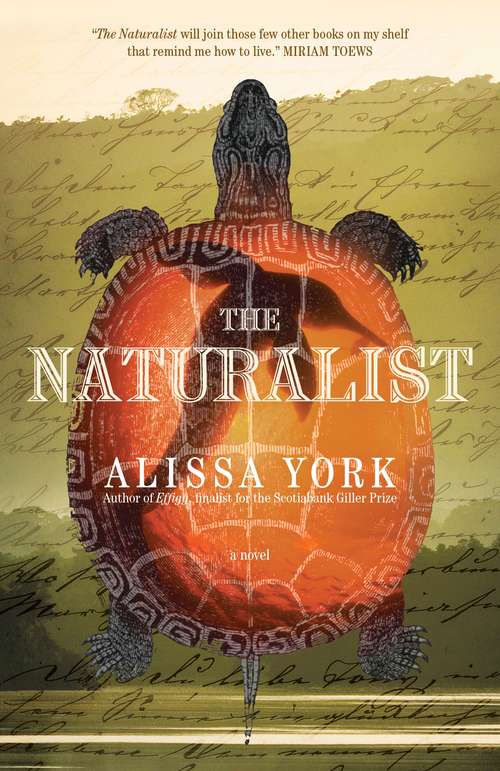 Book cover of The Naturalist