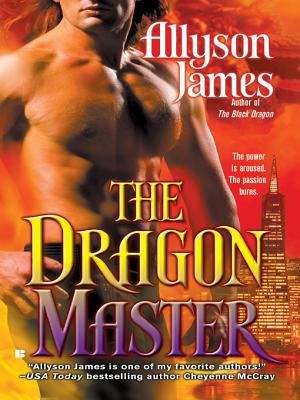 The Dragon Master (Dragon Romance Series #3)