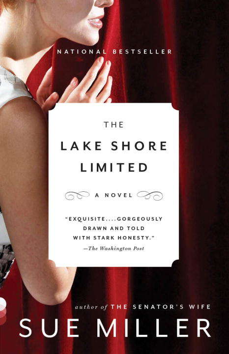 The Lake Shore Limited (Vintage Contemporaries Ser.)