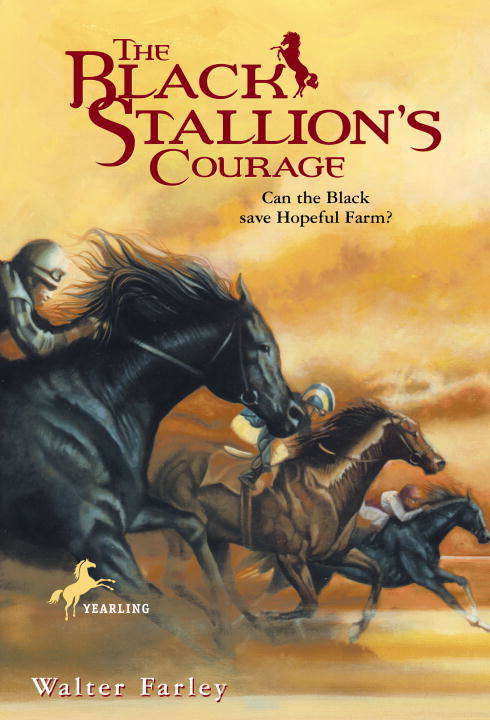 Book cover of The Black Stallion's Courage