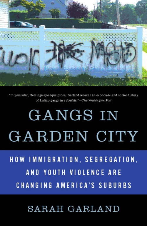 Book cover of Gangs in Garden City: How Immigration, Segregation, and Youth Violence are Changing America's Suburbs