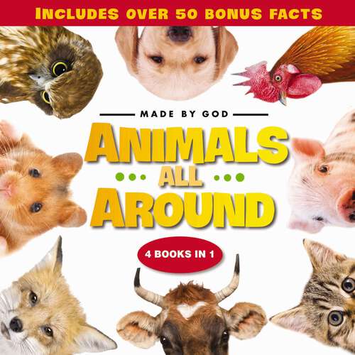 Book cover of Animals All Around (Made By God)