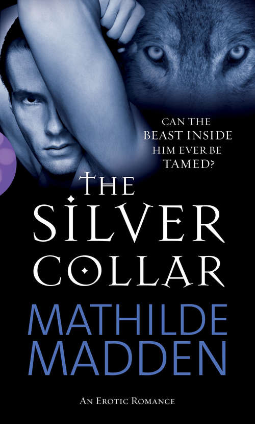 Book cover of The Silver Collar