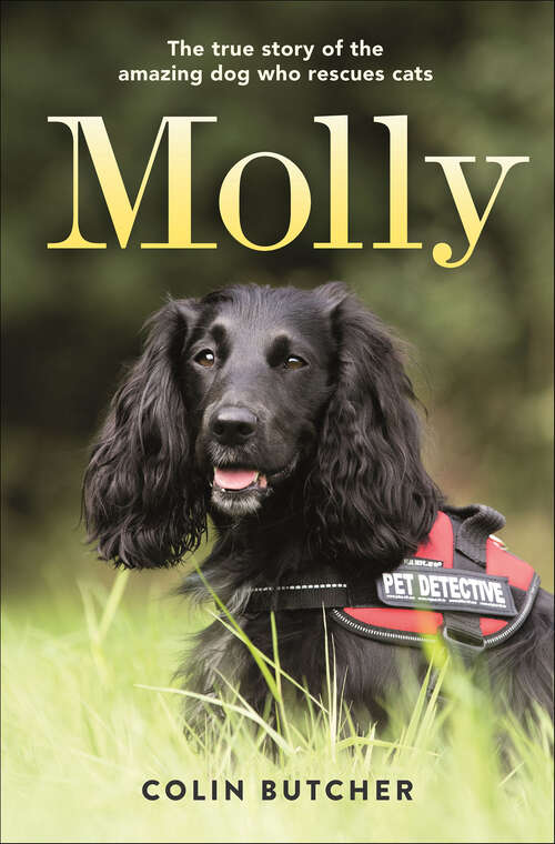 Book cover of Molly: The True Story of the Amazing Dog Who Rescues Cats