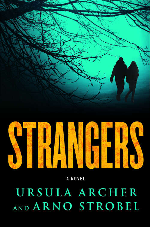 Book cover of Strangers: A Novel
