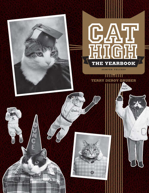 Book cover of Cat High