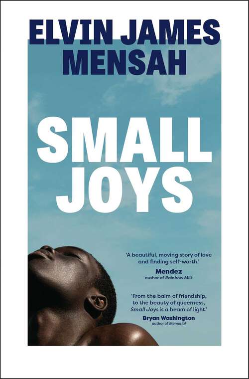 Book cover of Small Joys: The most moving and uplifting debut novel of 2023
