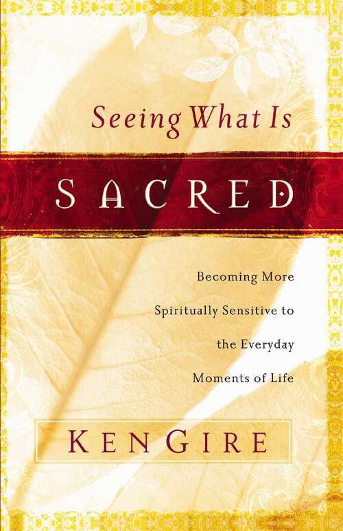 Book cover of Seeing What Is Sacred