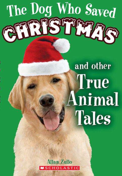 Book cover of The Dog Who Saved Christmas and Other True Animal Tales