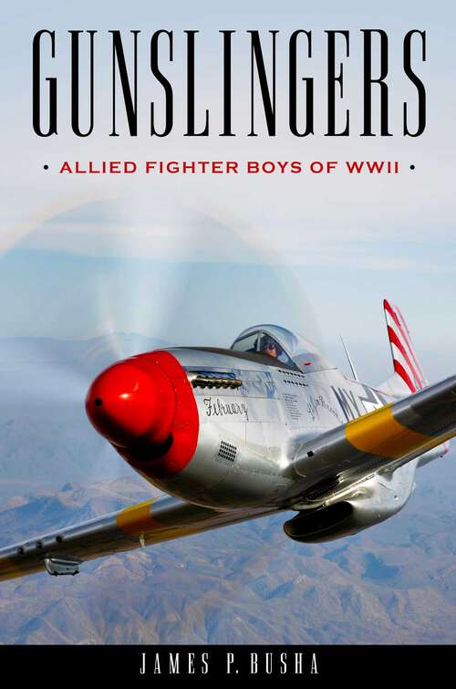Book cover of Gunslingers: Allied Fighter Boys of WWII