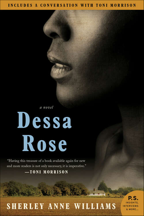 Book cover of Dessa Rose: A Novel