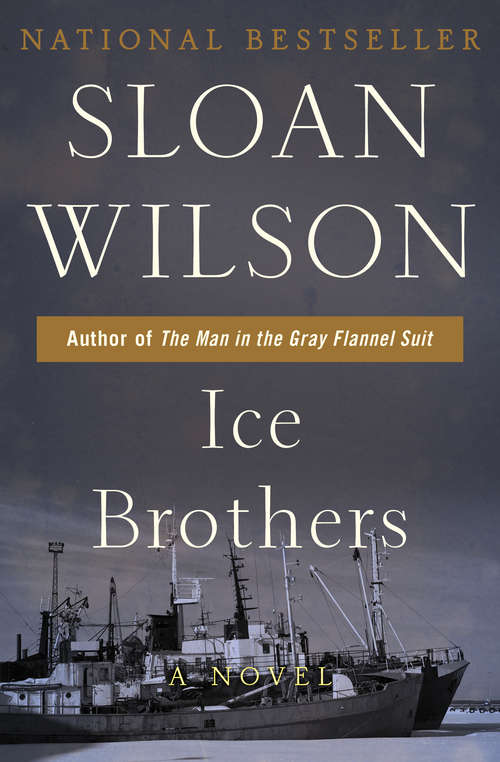 Book cover of Ice Brothers