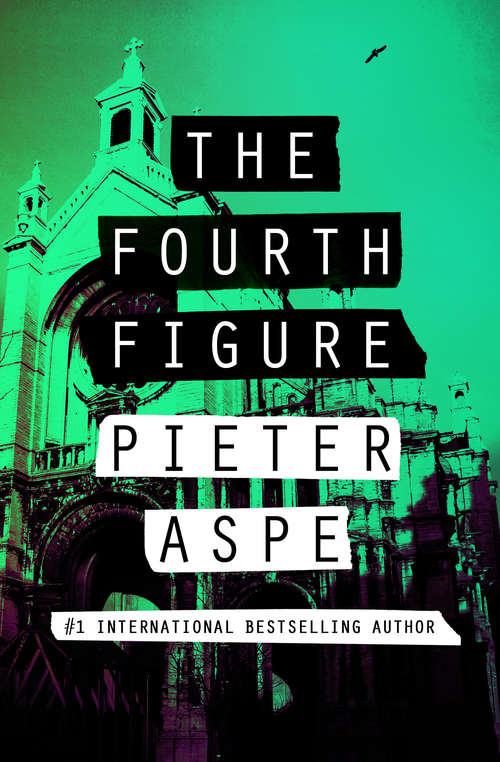 Book cover of The Fourth Figure