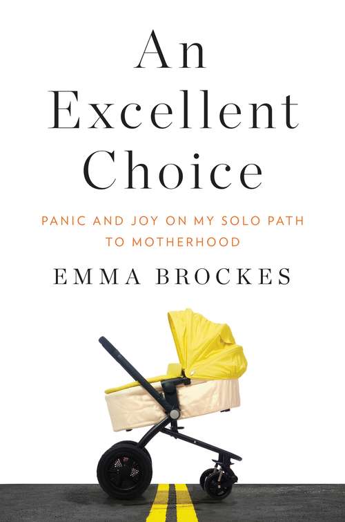Book cover of An Excellent Choice: Panic and Joy on My Solo Path to Motherhood