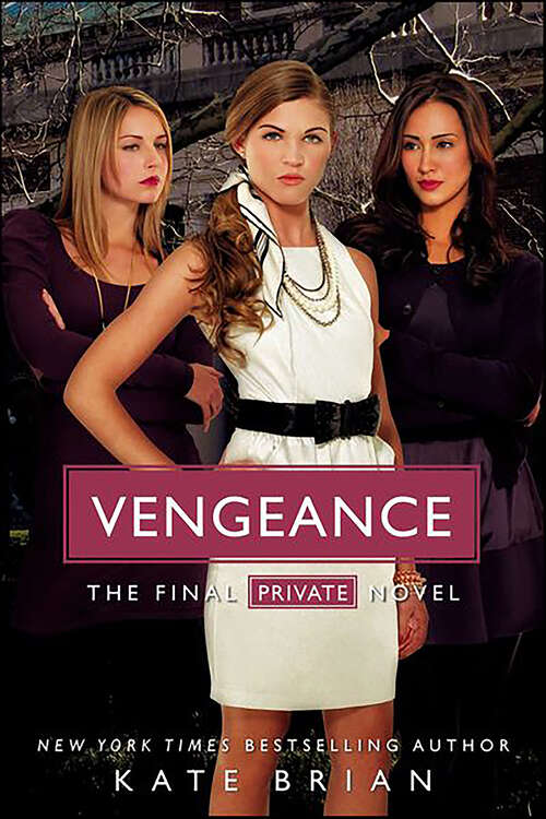 Book cover of Vengeance (Private #14)