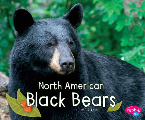 Book cover of North American Black Bears (Woodland Wildlife Ser.)