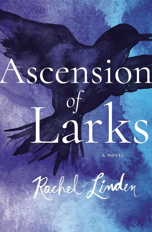 Book cover of Ascension of Larks