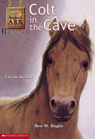 Book cover of Colt in the Cave (Animal Ark Hauntings #4)
