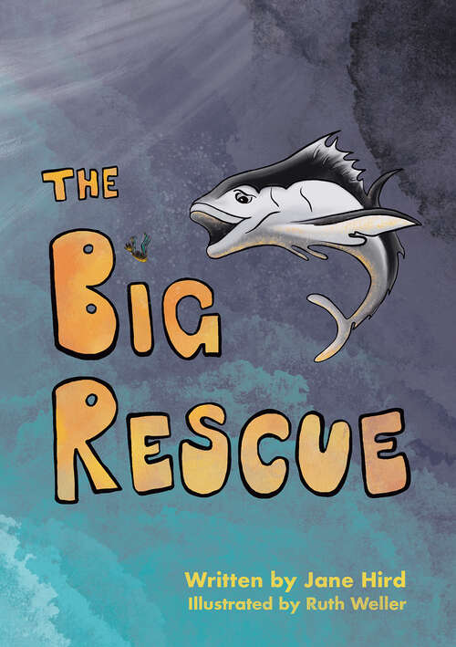Book cover of The Big Rescue