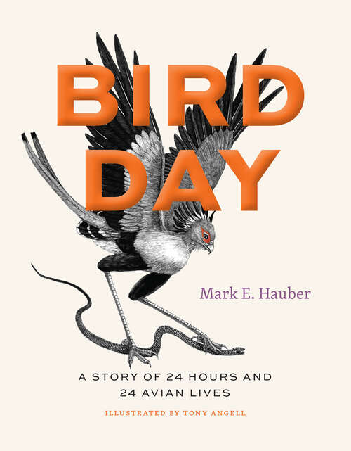 Book cover of Bird Day: A Story of 24 Hours and 24 Avian Lives (Earth Day)