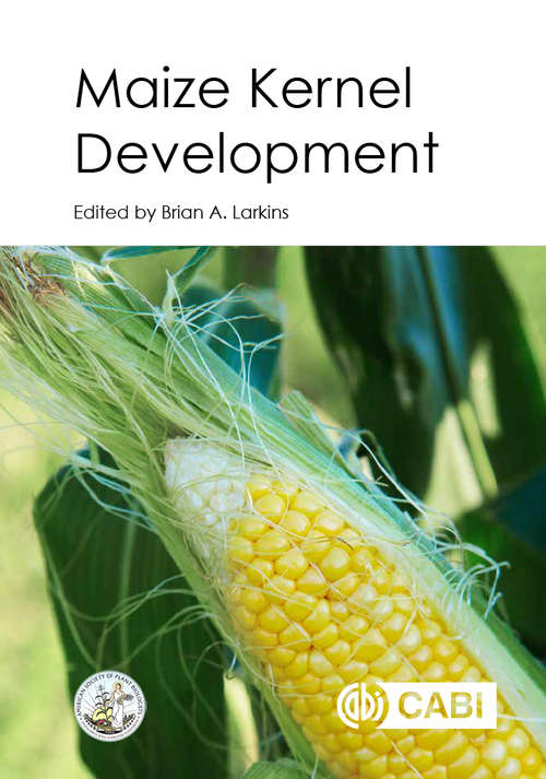 Maize Kernel Development
