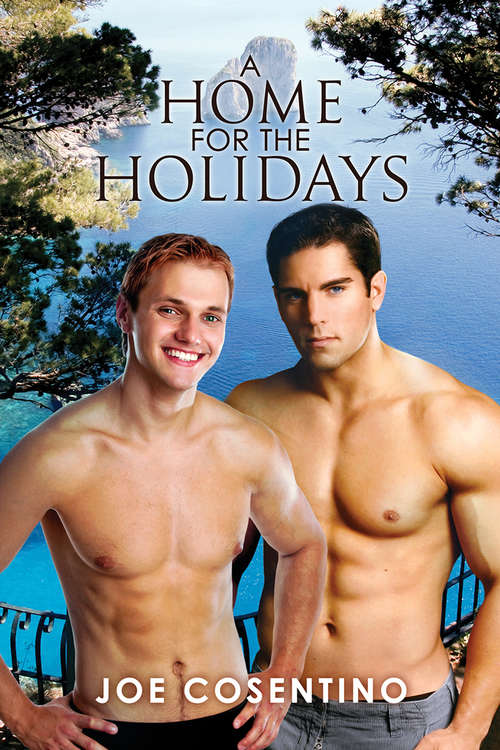 Book cover of A Home for the Holidays
