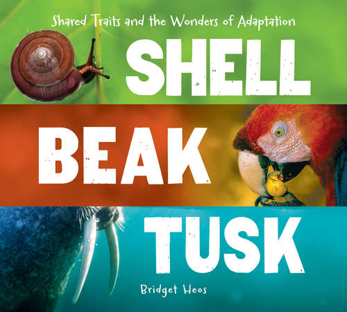 Shell, Beak, Tusk: Shared Traits and the Wonders of Adaptation