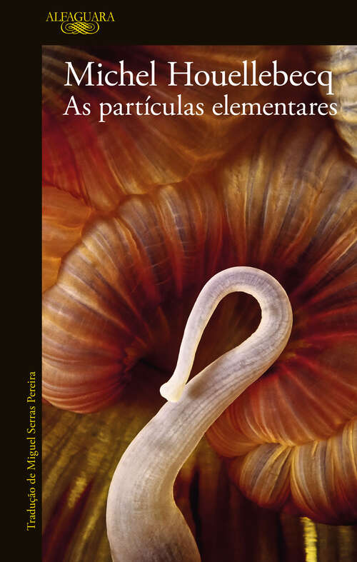 Book cover of As partículas elementares