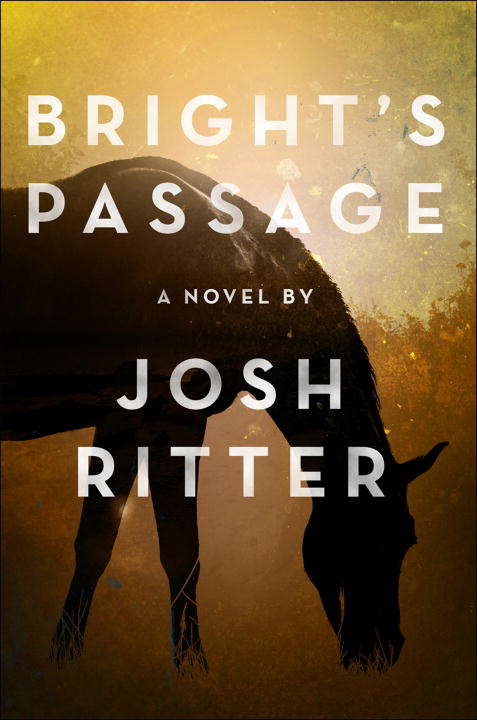 Book cover of Bright's Passage