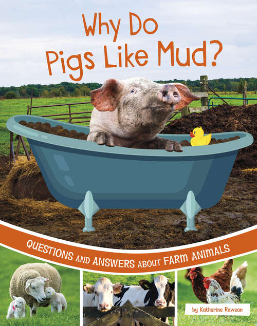 Why do Pigs like Mud?: Questions And Answers About Farm Animals (Farm Explorer Ser.)