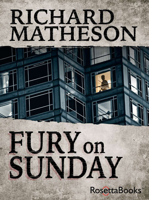 Book cover of Fury On Sunday