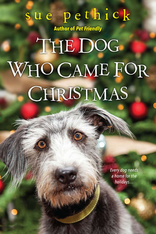 Book cover of The Dog Who Came for Christmas