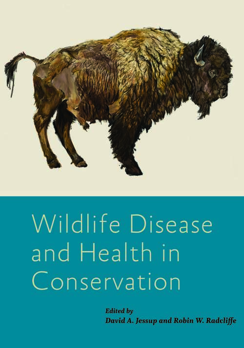 Book cover of Wildlife Disease and Health in Conservation (Wildlife Management And Conservation Ser.)