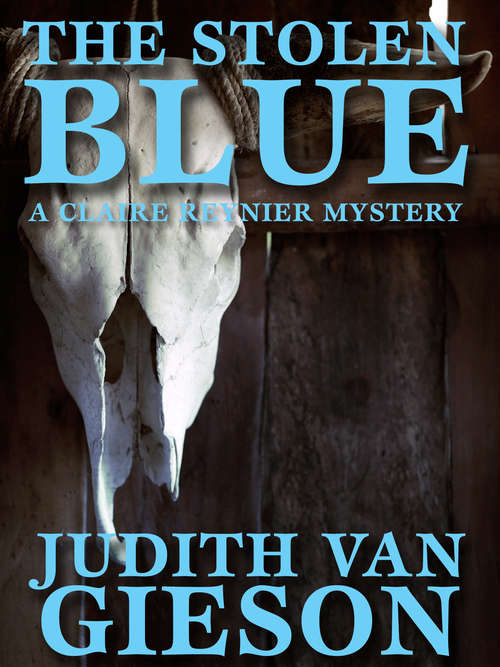 Book cover of The Stolen Blue