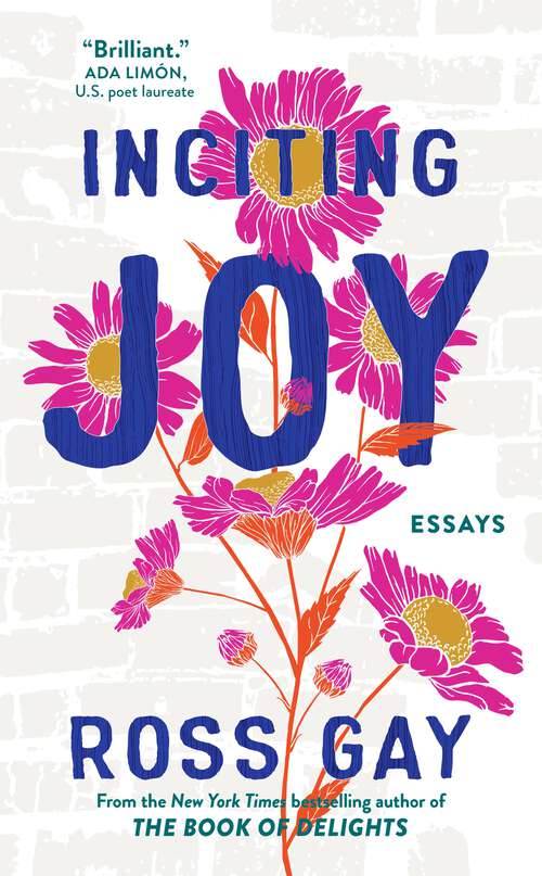 Book cover of Inciting Joy: Essays