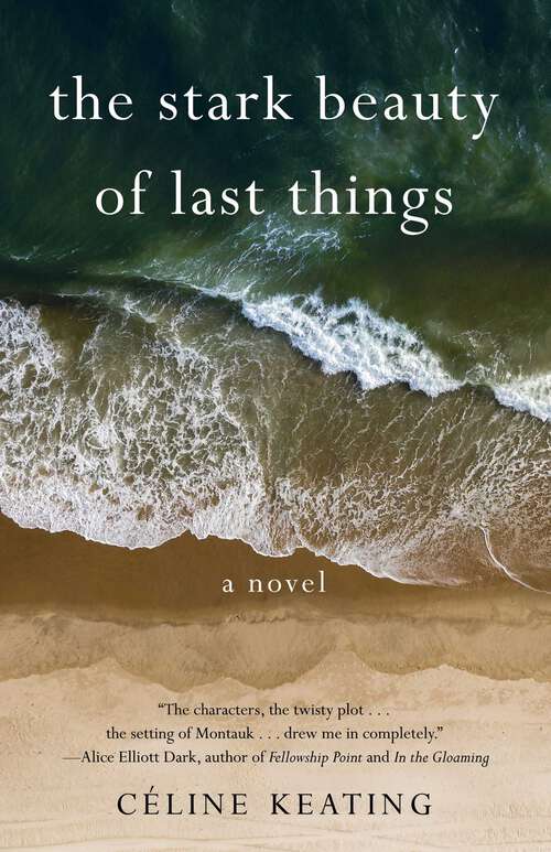 Book cover of The Stark Beauty of Last Things: A Novel