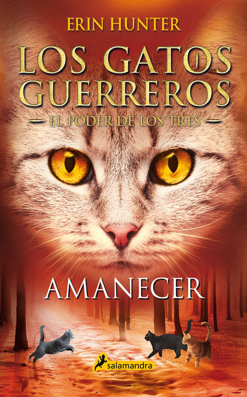 Book cover of Amanecer (Los Gatos Guerreros | El Poder de los Tres: Volumen 6)