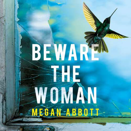 Book cover of Beware the Woman: The twisty, unputdownable new thriller about family secrets for 2023 by the New York Times bestselling author